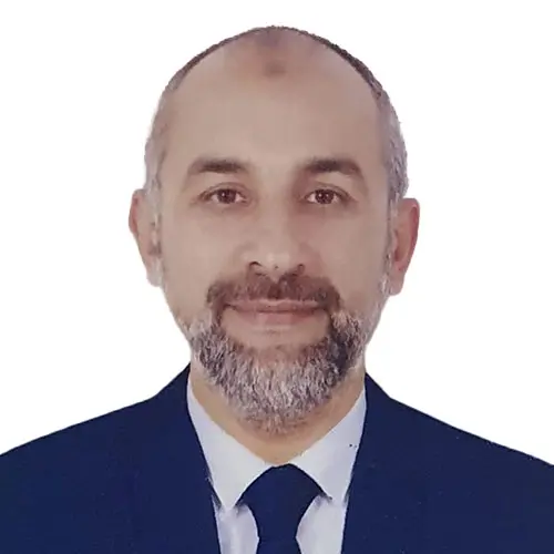 Professor Ashraf M. Elmoustafa